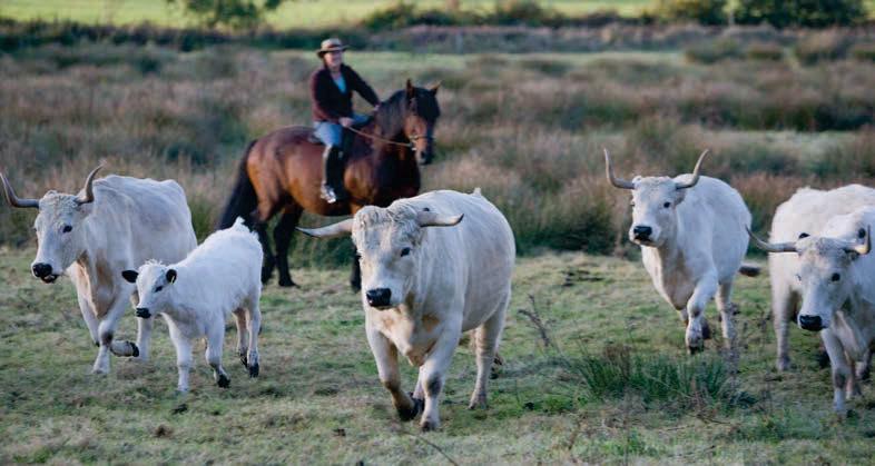 Cause for Celebration but also Concern in the New RBST Watchlist