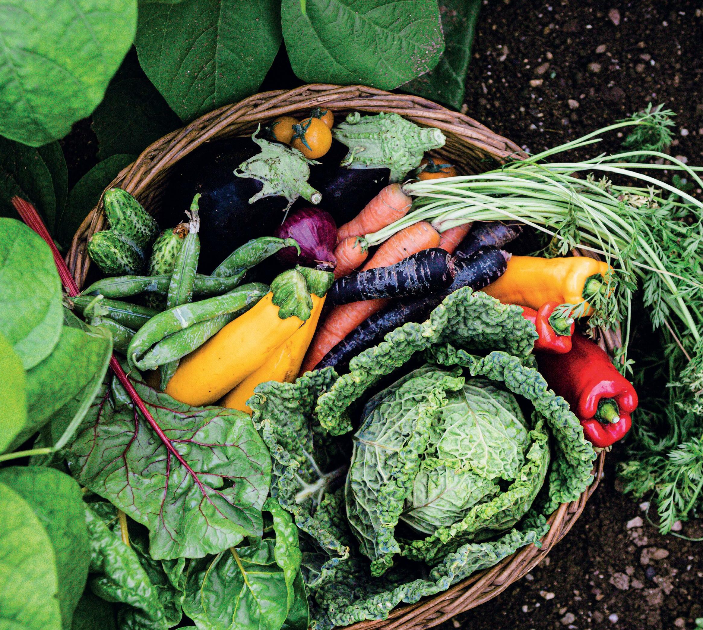 GROW, VEG, GROW!