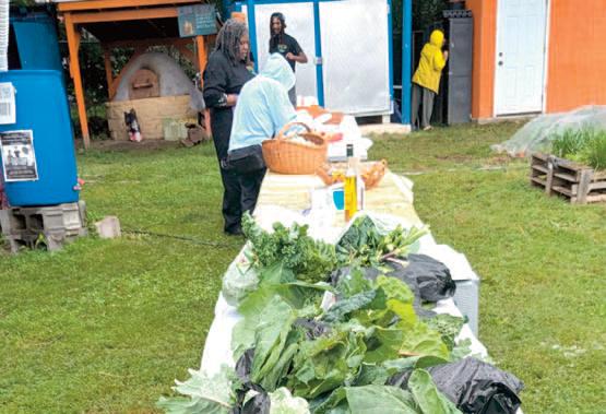 West Philadelphia Urban Farm celebrates 20 years