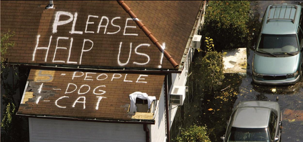 Hurricane Katrina revealed the weakness of those who failed New Orleans. The aftermath revealed its people's strength