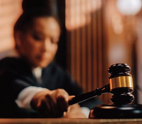 Why are Judges so important?
