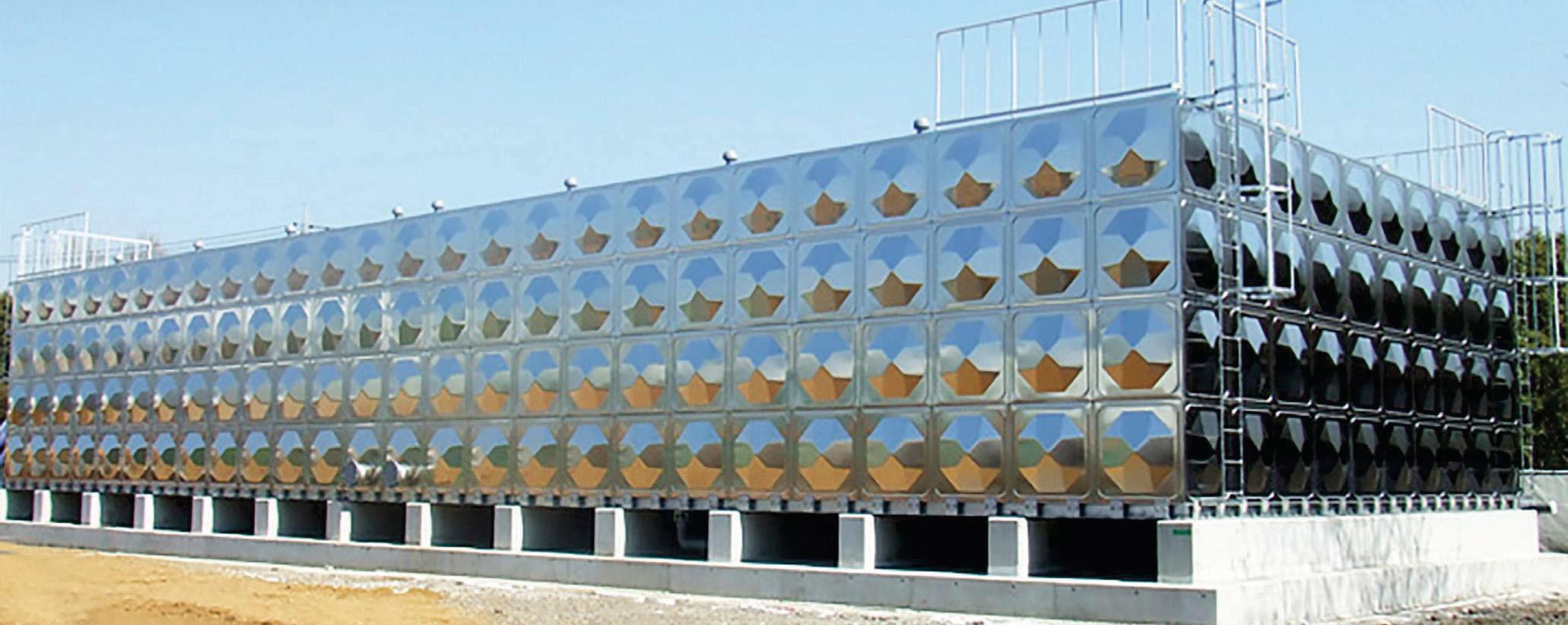 SUSTAINABLE GROWTH WITH SYNERGY