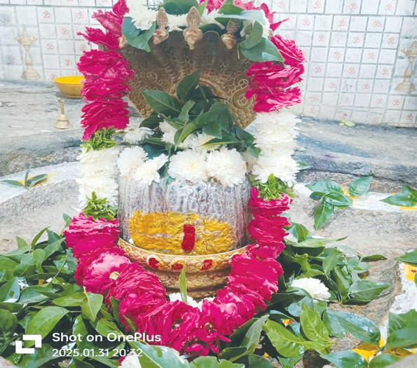 నేడు శ్రీ పార్వతీ పరమేశ్వరుల కల్యాణ మహోత్సవం