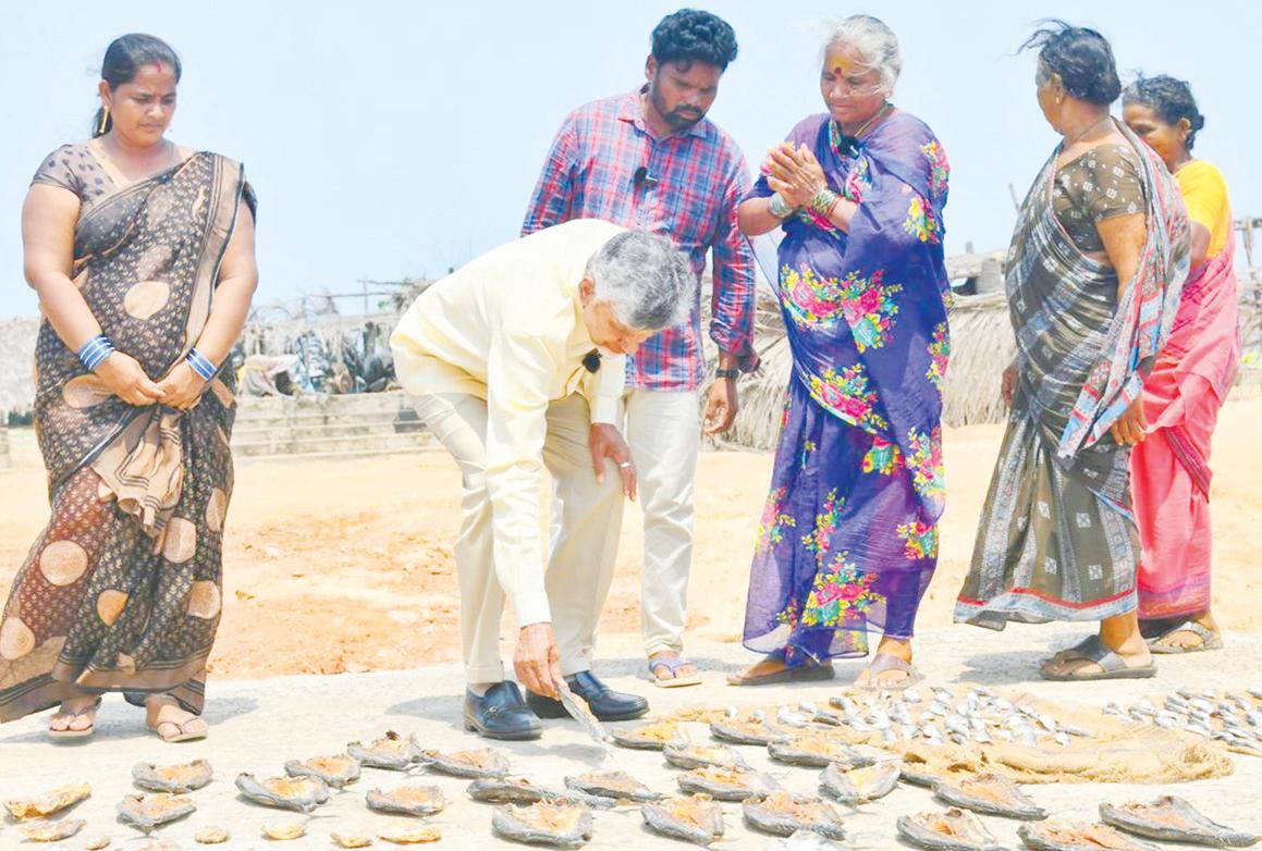 టీడీపీకి వెనుకబడిన వర్గాలే వెన్నెముక