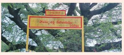 సిరికొండ లో పోచమ్మ పండుగ జూన్ 1 ఆదివారం జరుపుకోవాలి