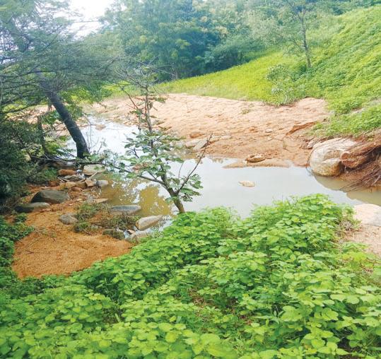 శంకరం కుంట గండి.. పంట పొలాల్లో చేరిన వరద