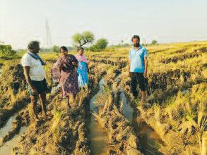 వరికొయ్యలను తగలబెట్టడం ద్వారా భూమిలో సేంద్రీయ కర్బన శాతం తగ్గుతుంది