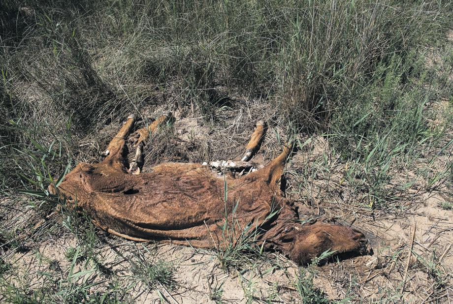 Warmest decade on record hits African continent hard