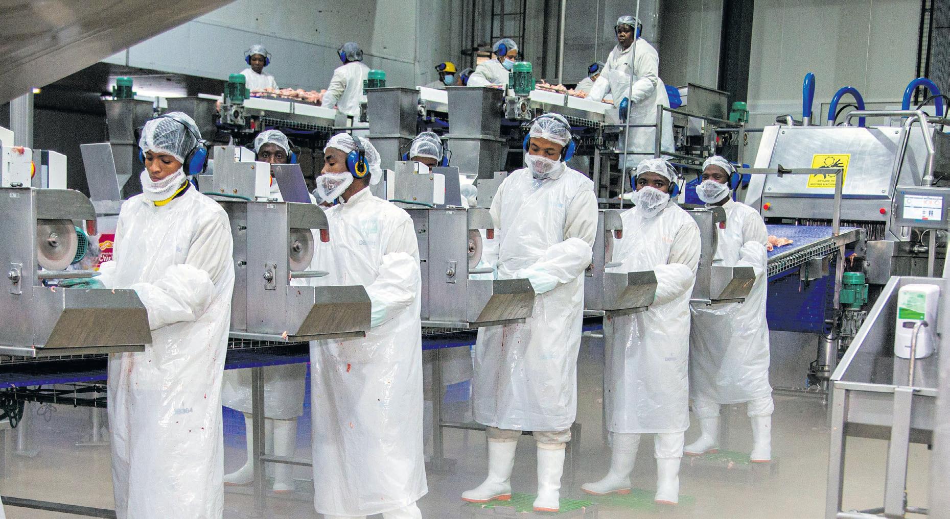 Plucked: trouble at Daybreak Foods as Altron halts services