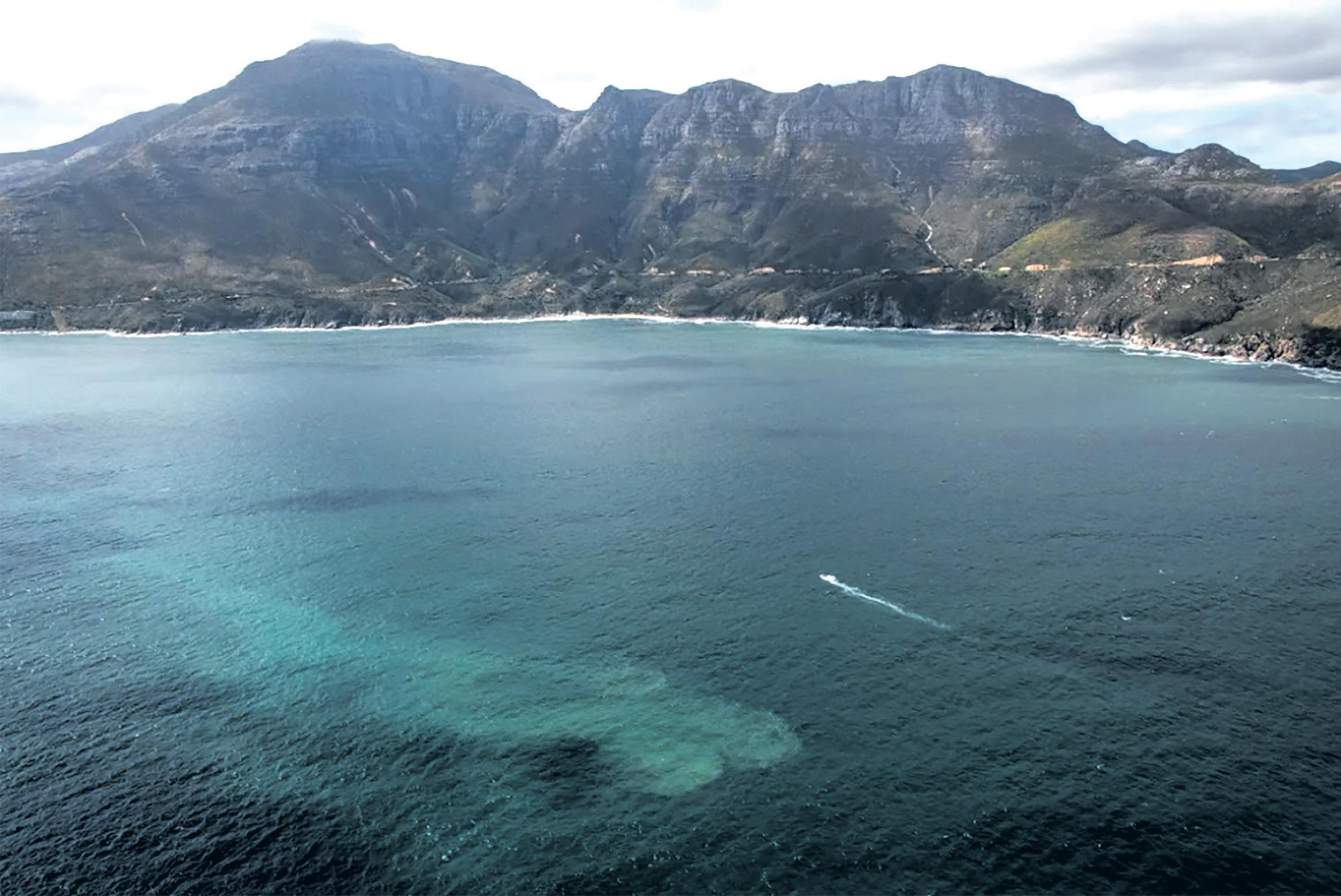 Hout Bay mussels tainted with
