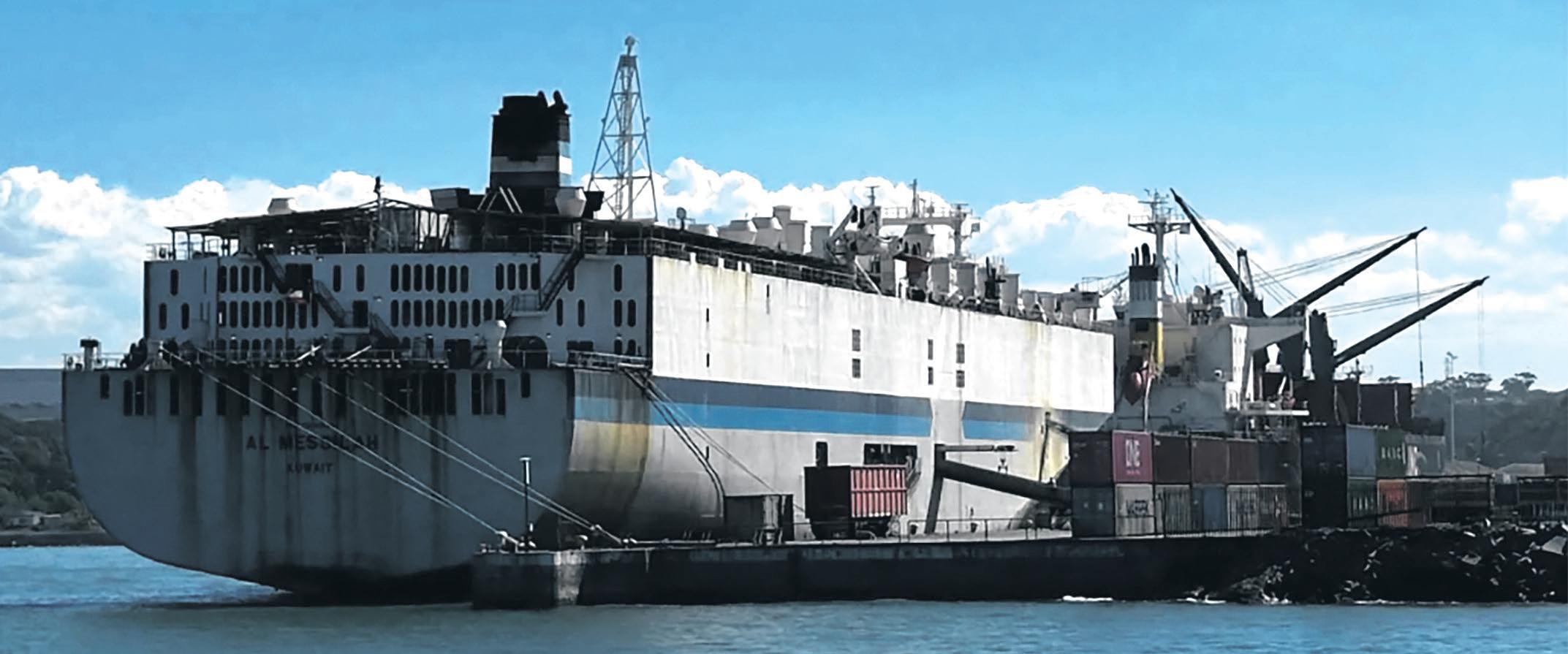 NSPCA slams new live animal export rules as hollow words