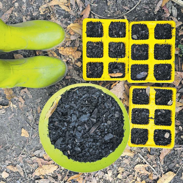 Opting for a great green garden of national unity