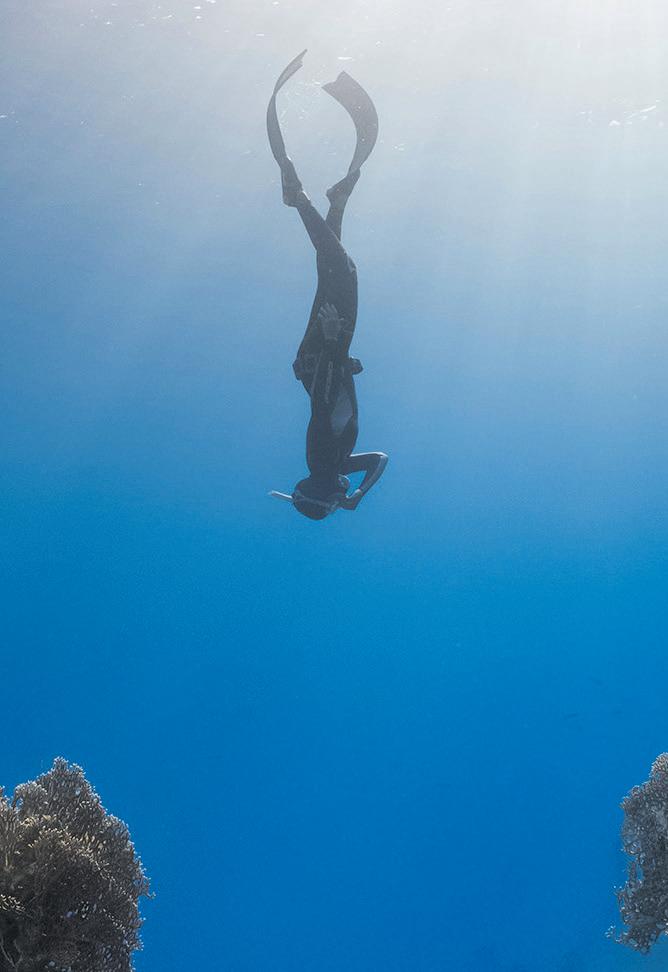 The fine line between risk and prudence