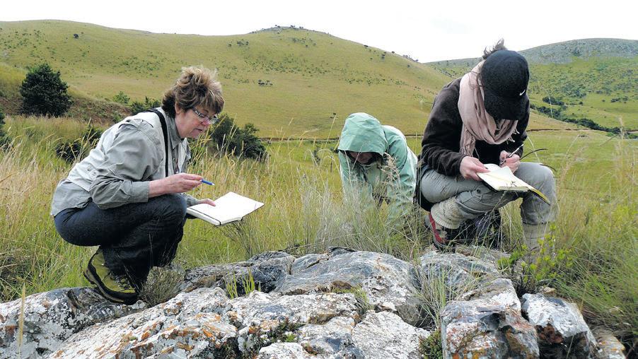 3.3 billion-year-old rocks are found to have evidence of life