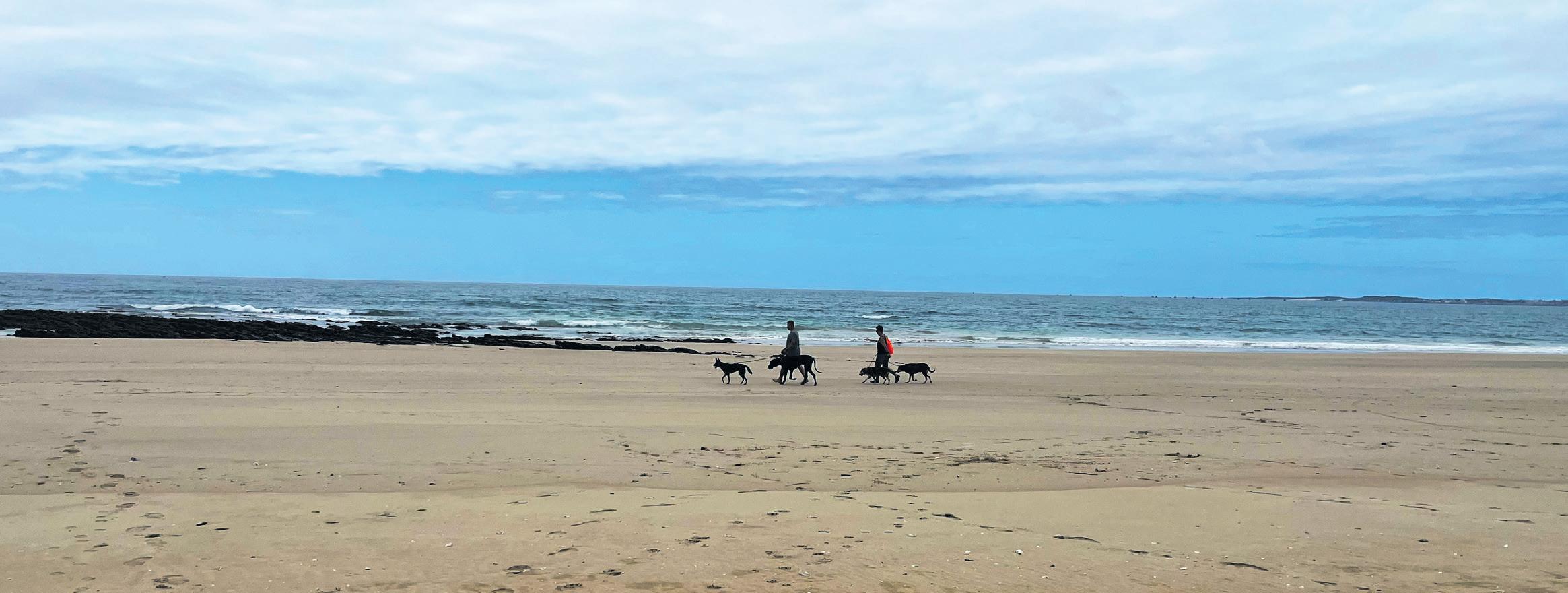 Jeffreys Bay is much more than just a holiday spot for surfers