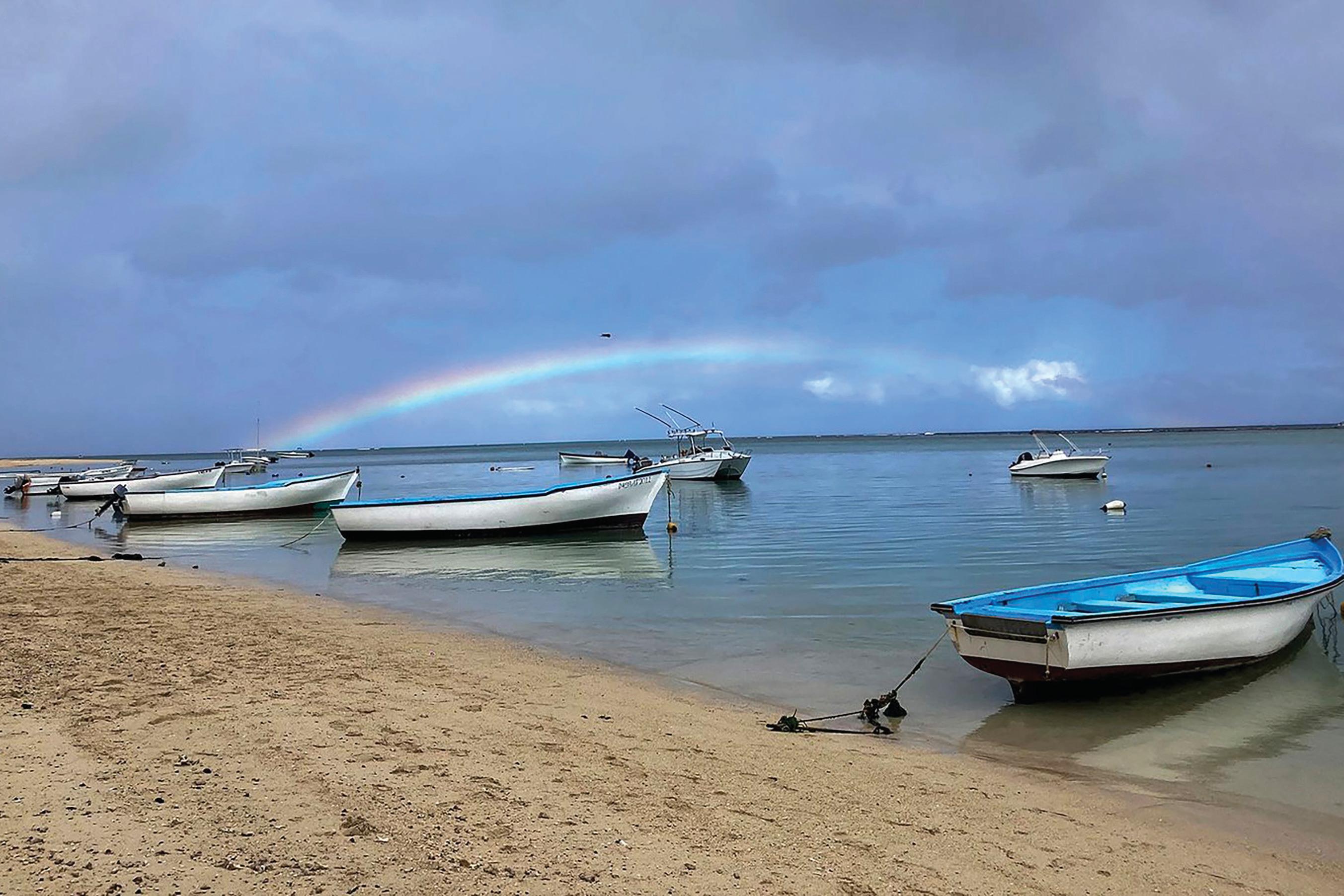 Favourite foods from Mauritius: