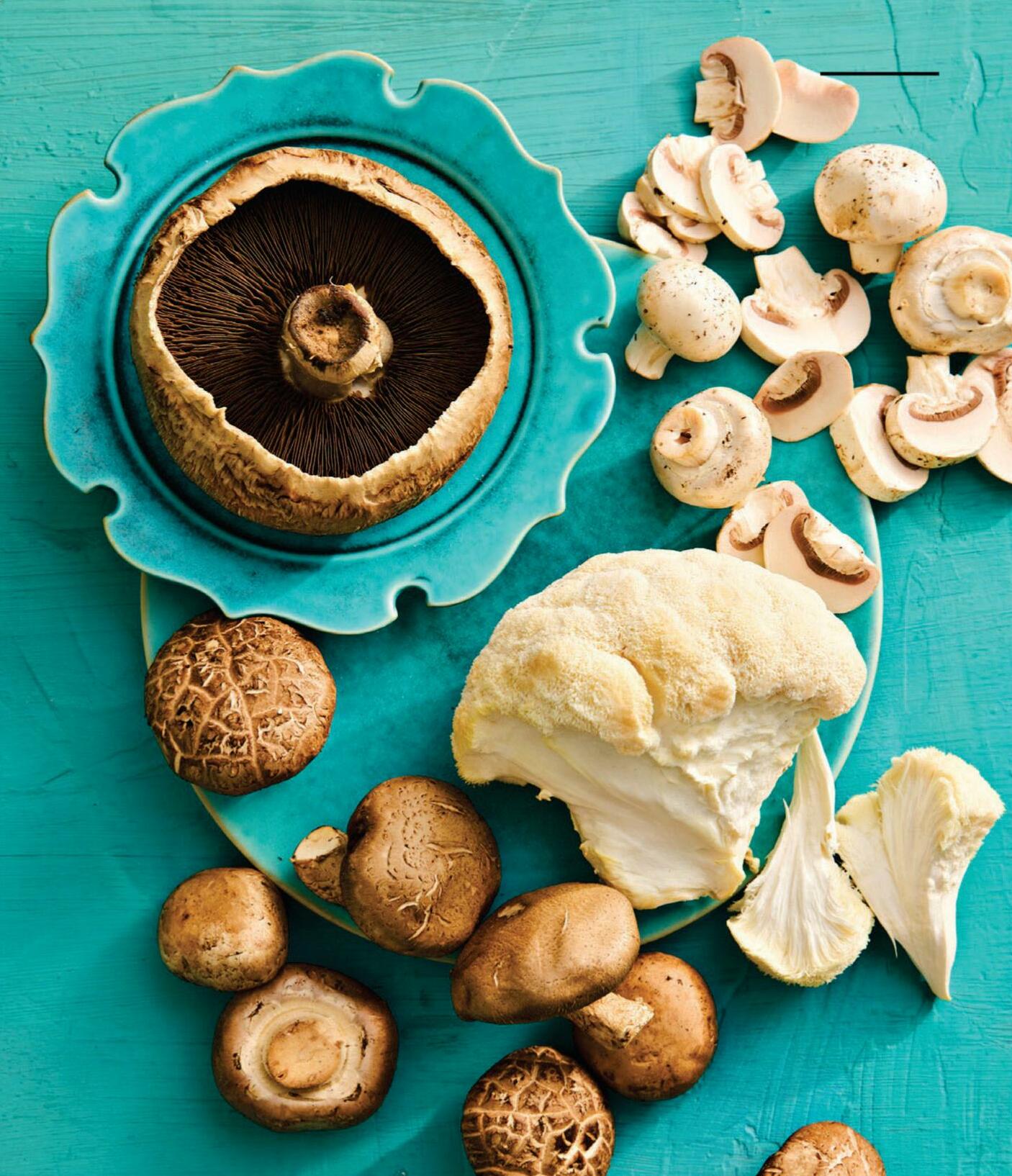 'SHROOM STRENGTH