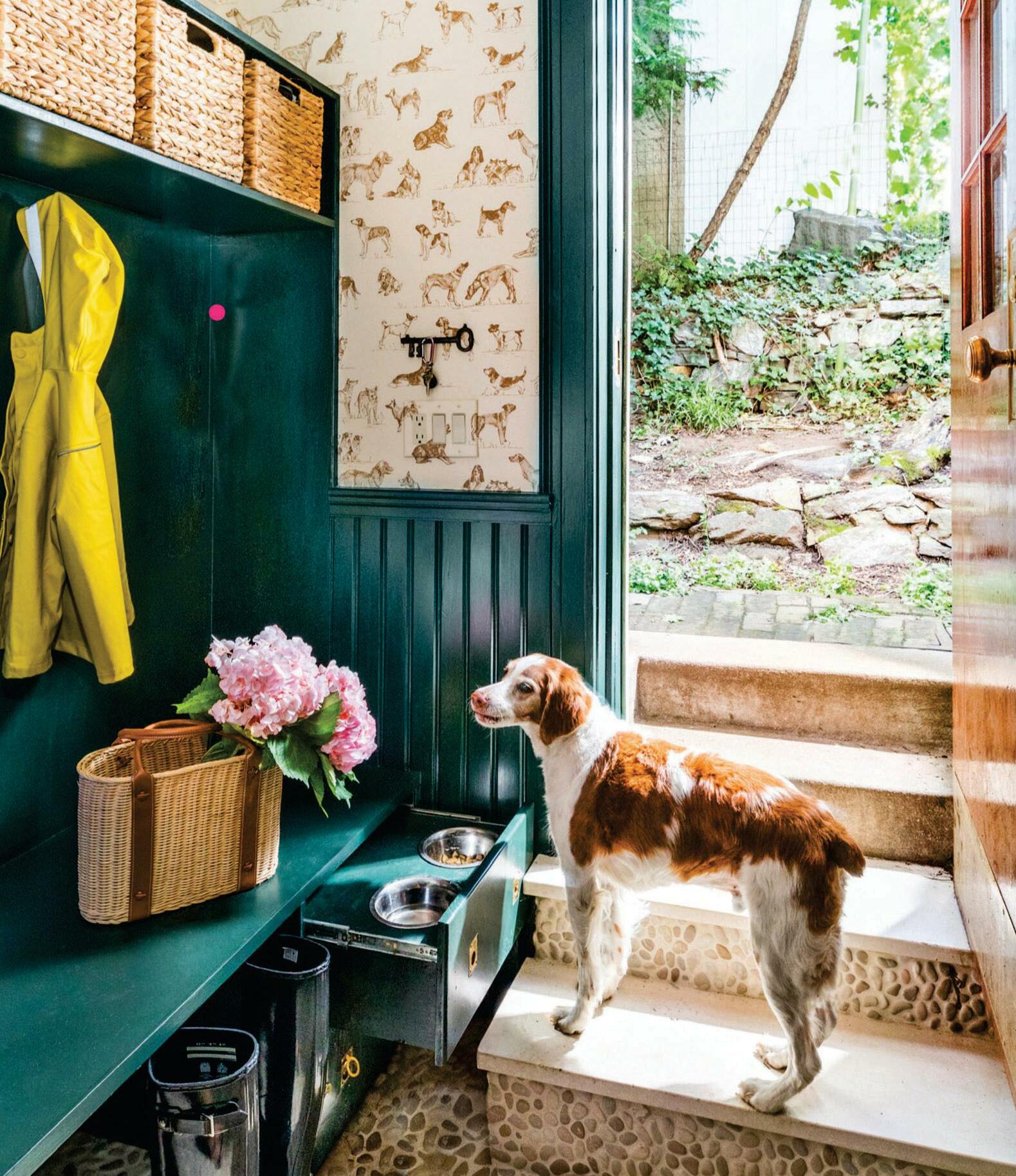 Sit, Stay, Store Paws-itively Useful