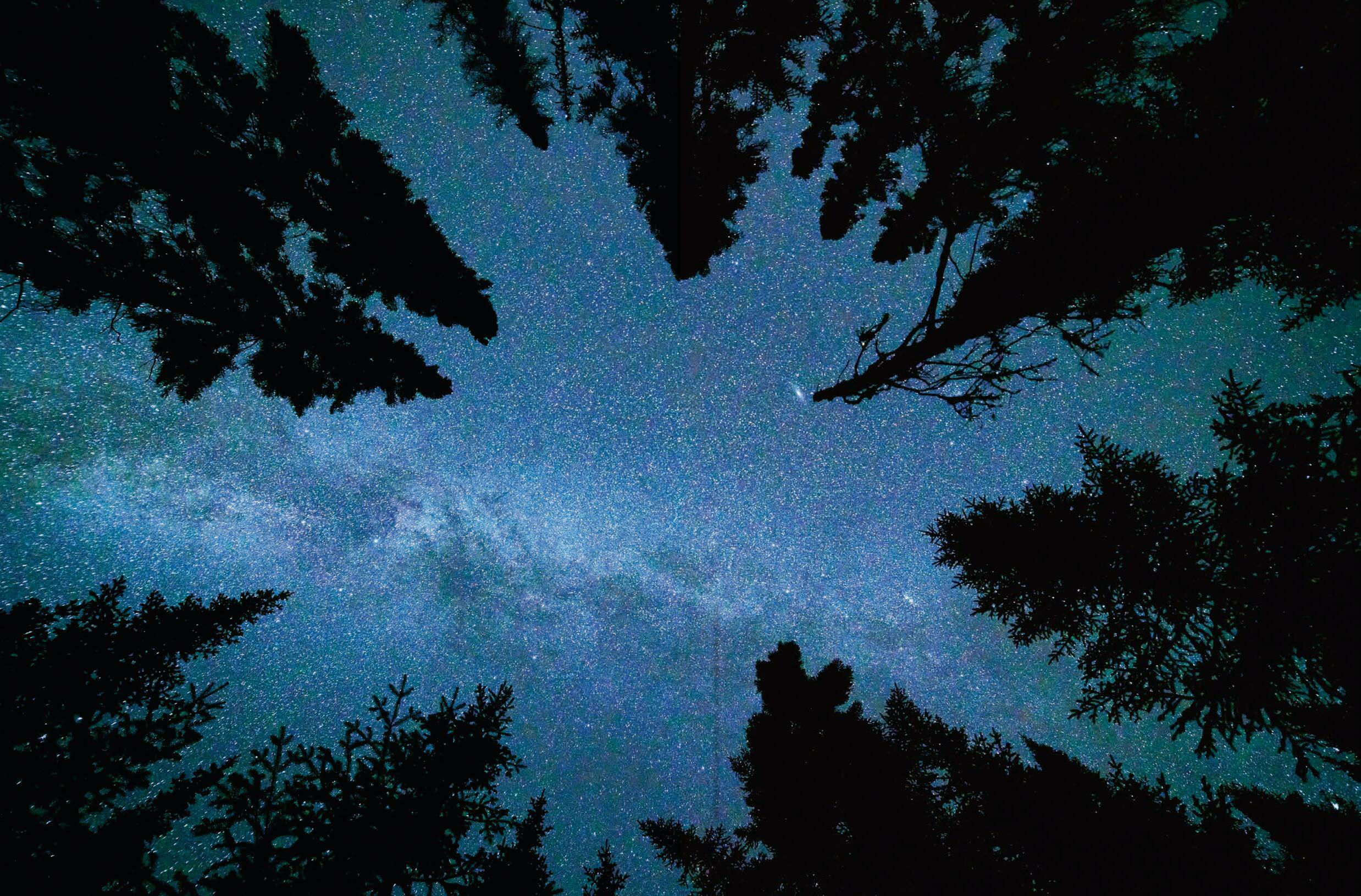 WE ARE ALL MADE OF STARS