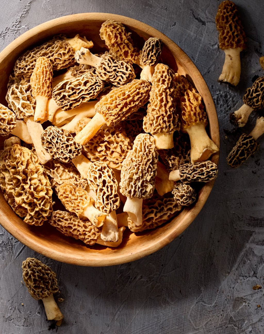 MOREL CODE