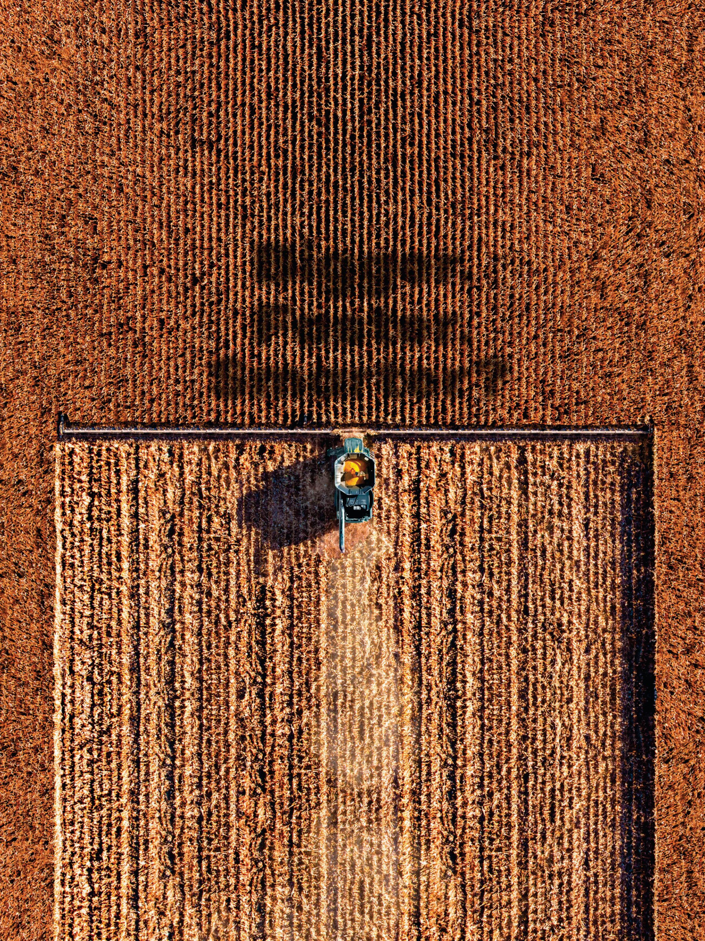 Bigger.Faster.Smarter?