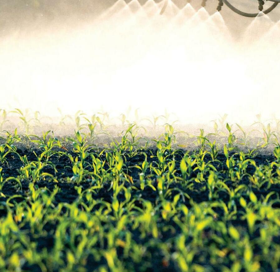 When Do You Feed Your Crops?