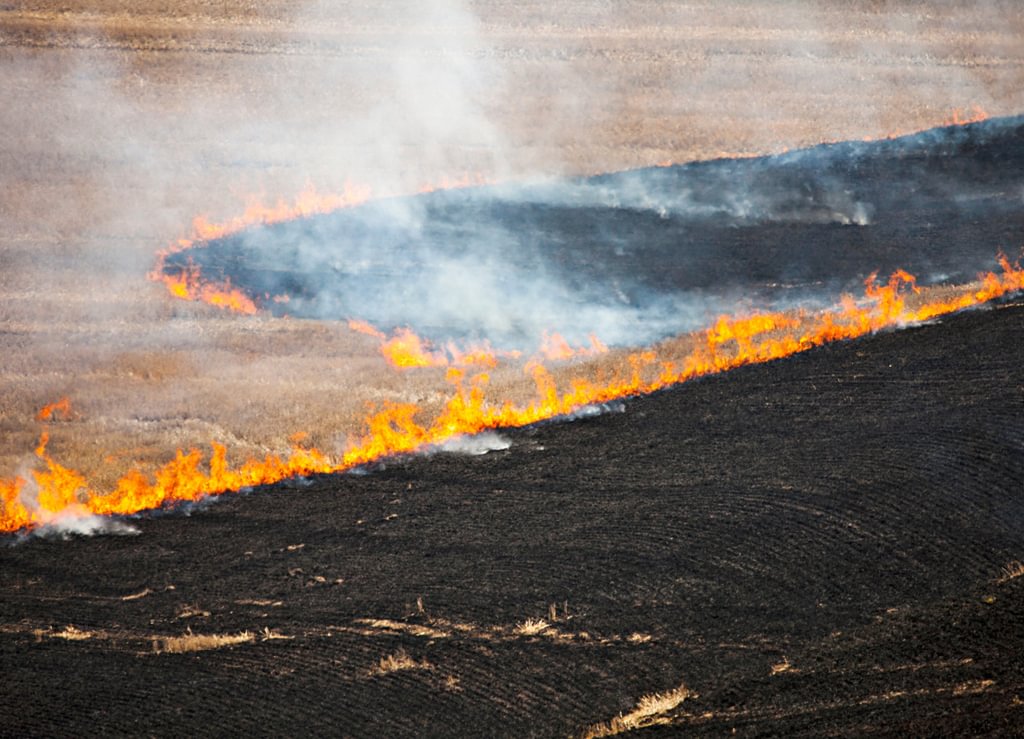 How to Conduct a Prescribed Burn