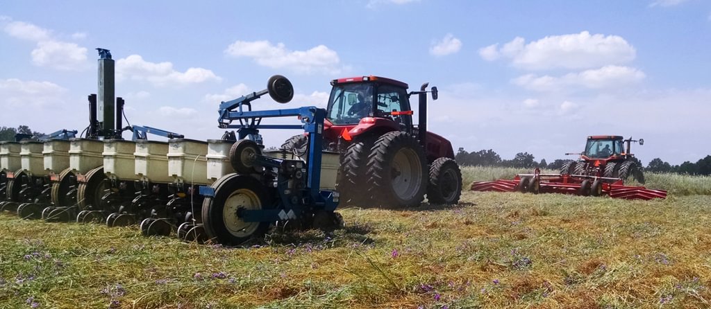 Get Cover Crop Termination Right