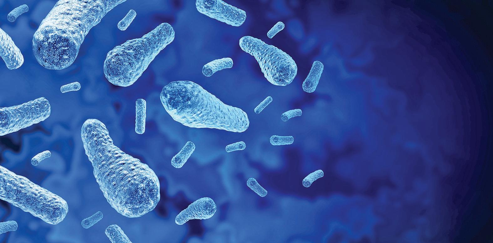 Natural Compound To Combat Bacterial Infections