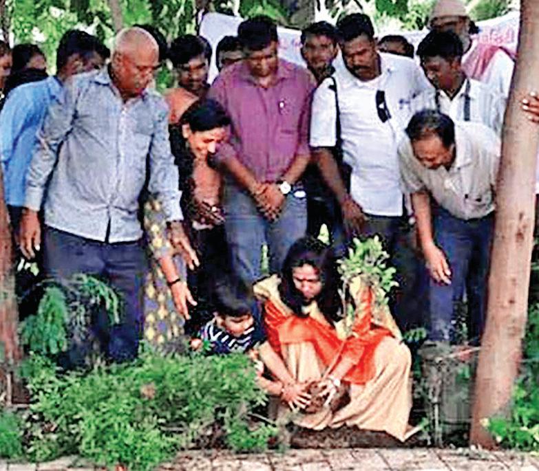 AMC Okays Rs 69 Crore To Plant 21 Lakh Trees In City