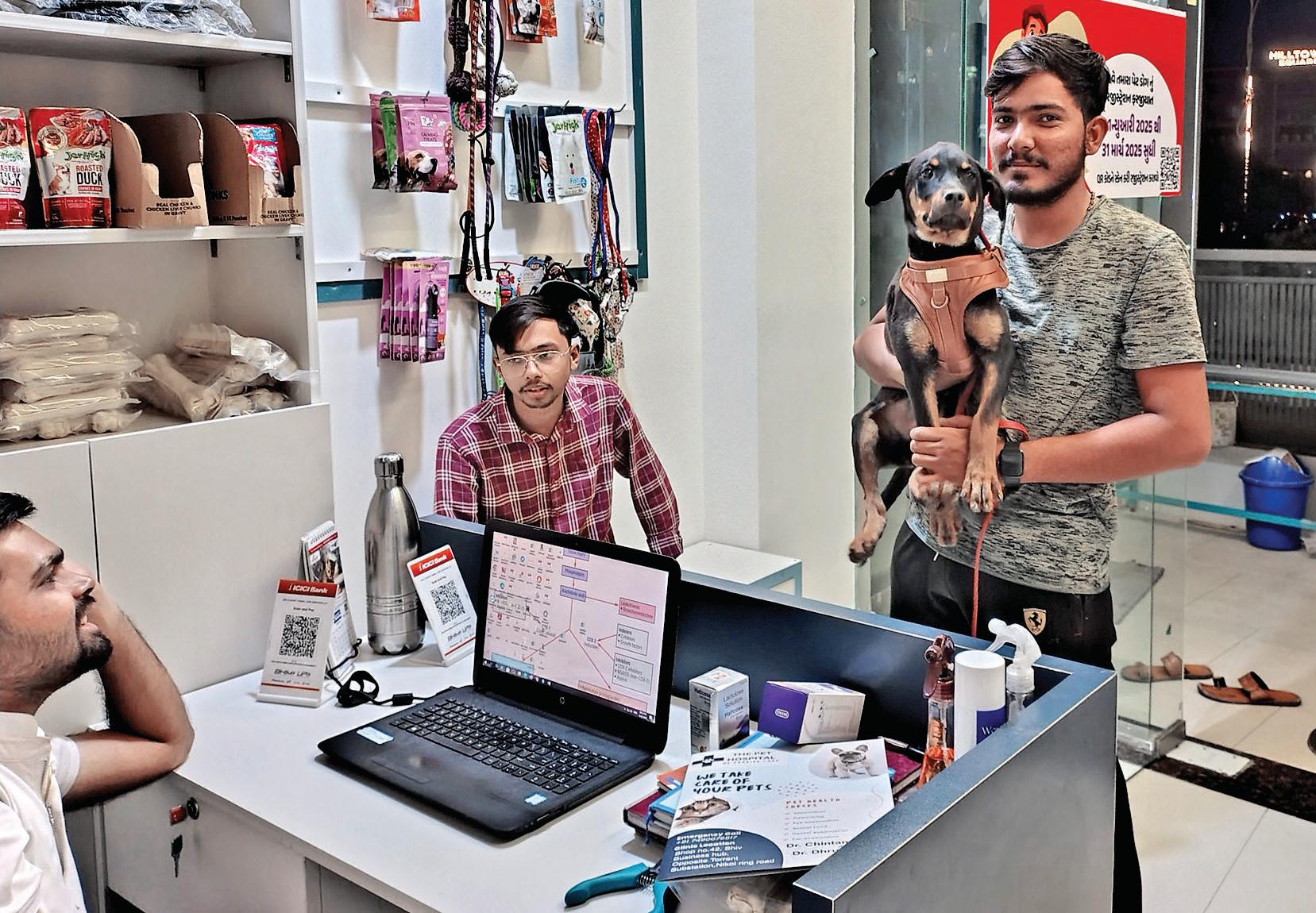 June 30 deadline for pet dog registrations: AMC