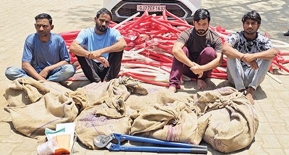 Gang in op for 9 yrs dodging cops' radar