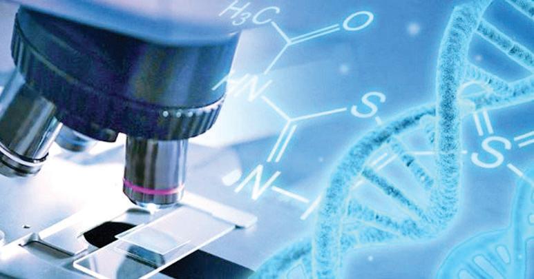 Alzheimer's Gene Therapy Shows Promise to Prevent Brain Damage