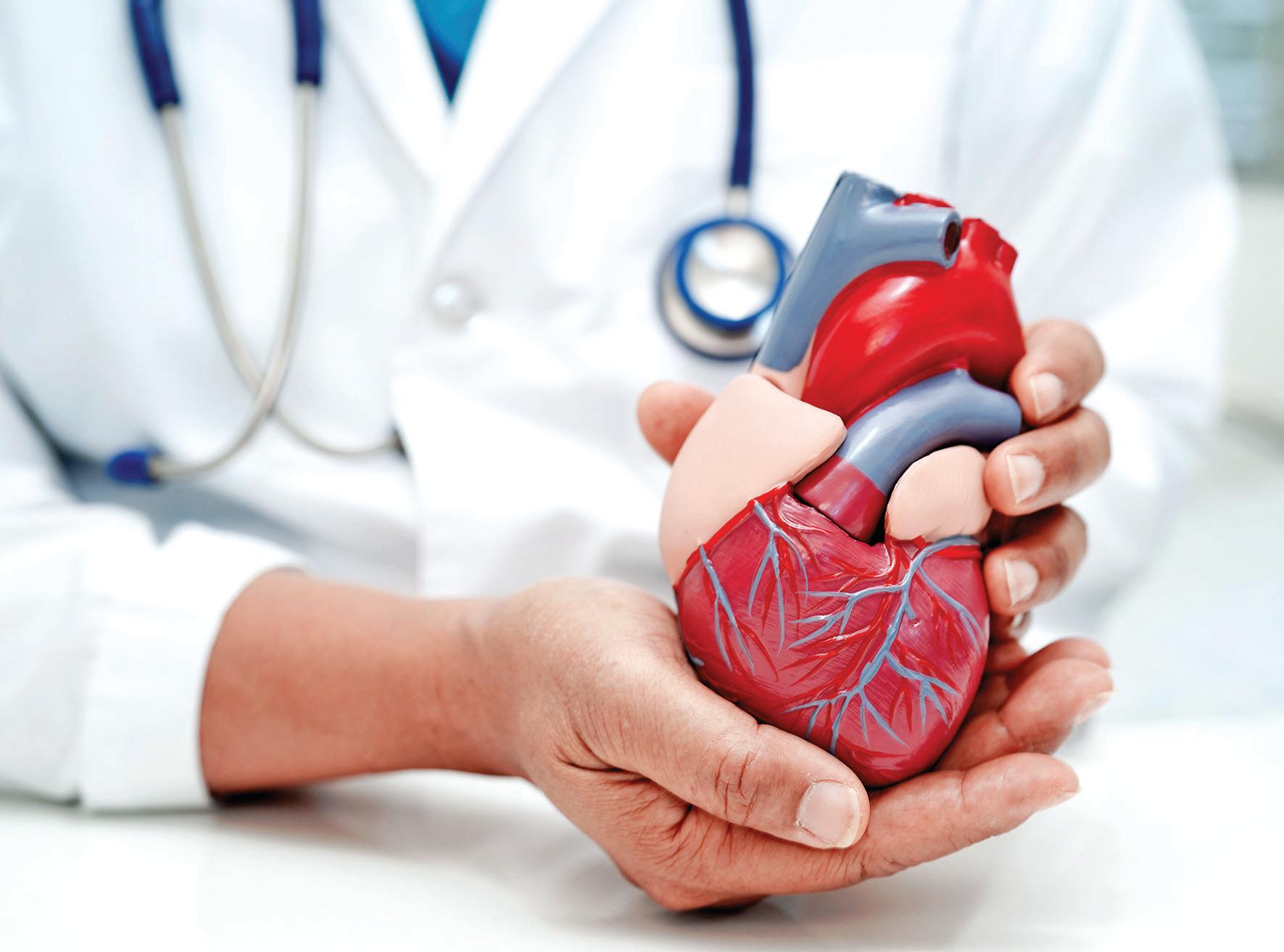 Common viruses linked to heart attacks