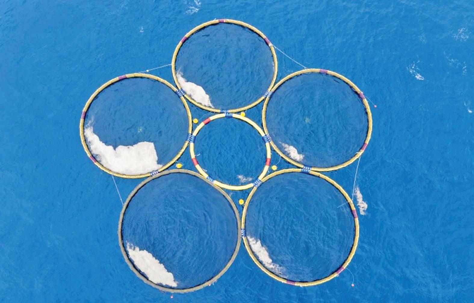 Israeli startup says its new technology will save the planet