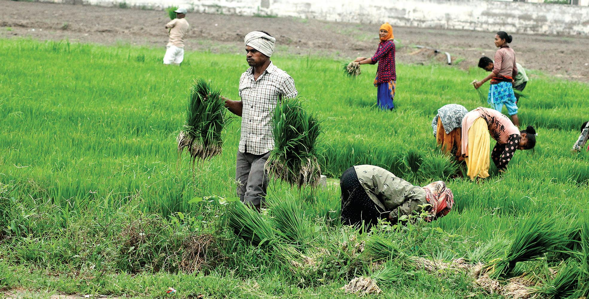 SMSes to alert farmers on land record changes