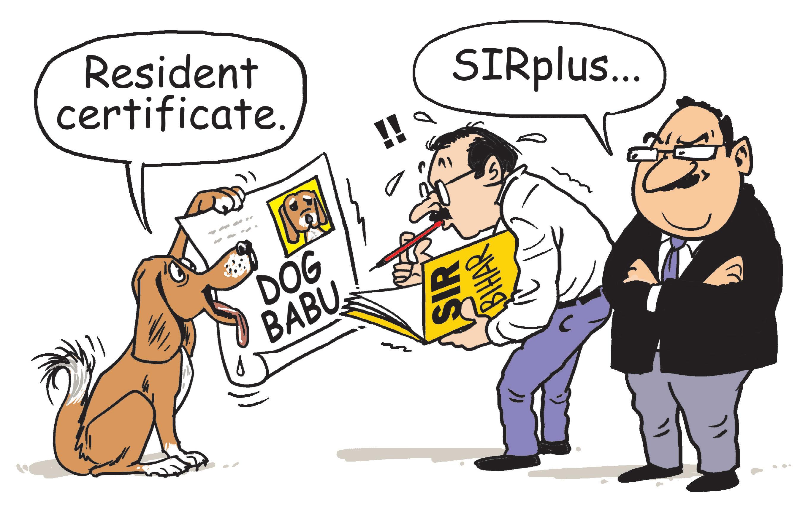 'Dog Babu' gets its own residence certificate in Bihar