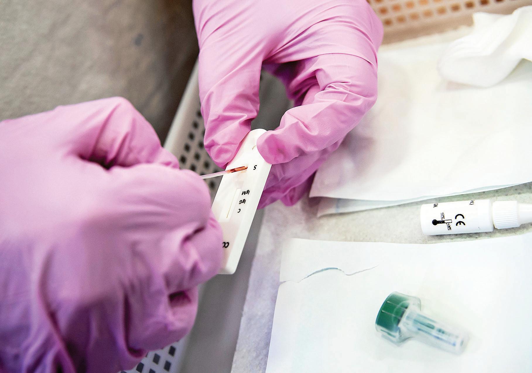 Scientists find antibodies that can protect children from deadly Strep A infection