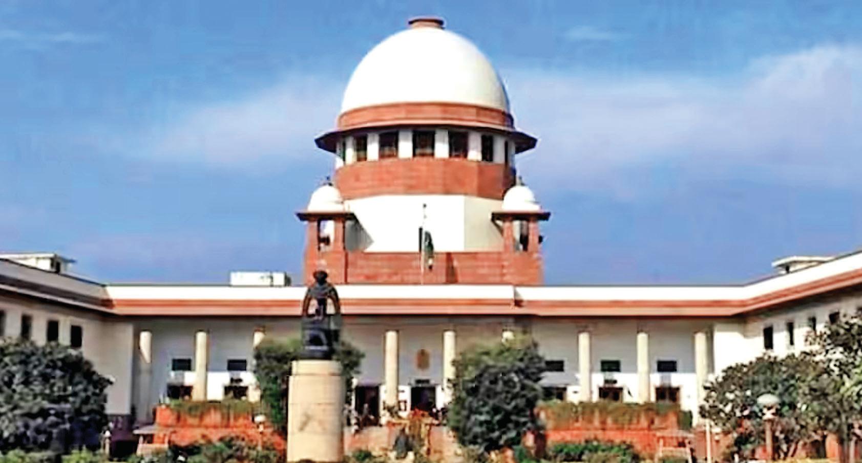 SC: Problem of stray dogs due to inaction of local authorities