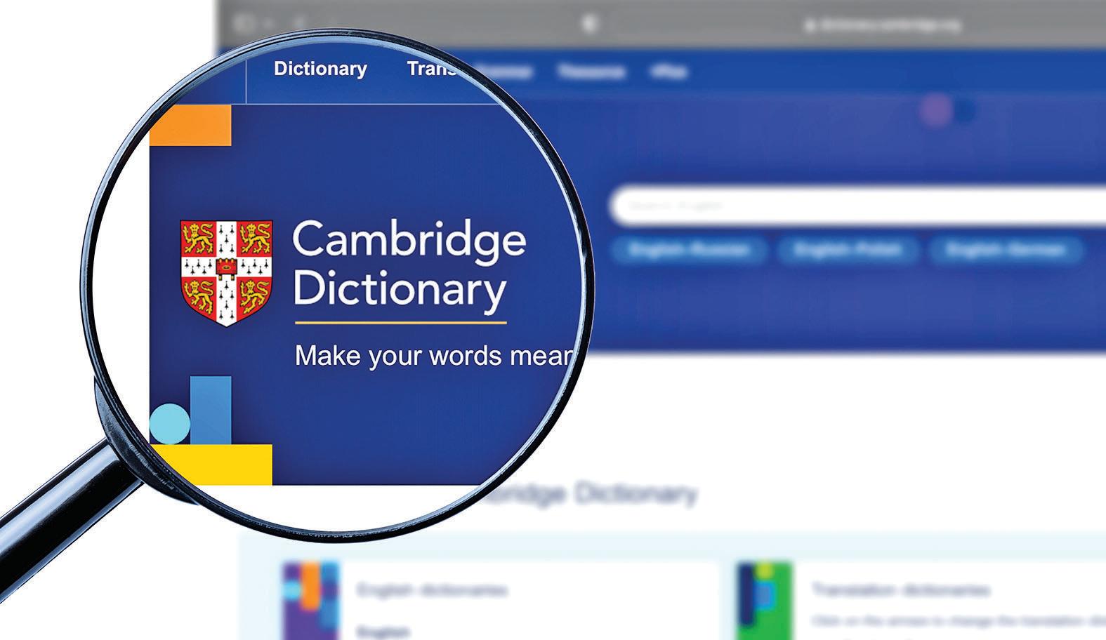 Cambridge Dictionary adds ‘skibidi’, ‘tradwife’ among 6,000 new words