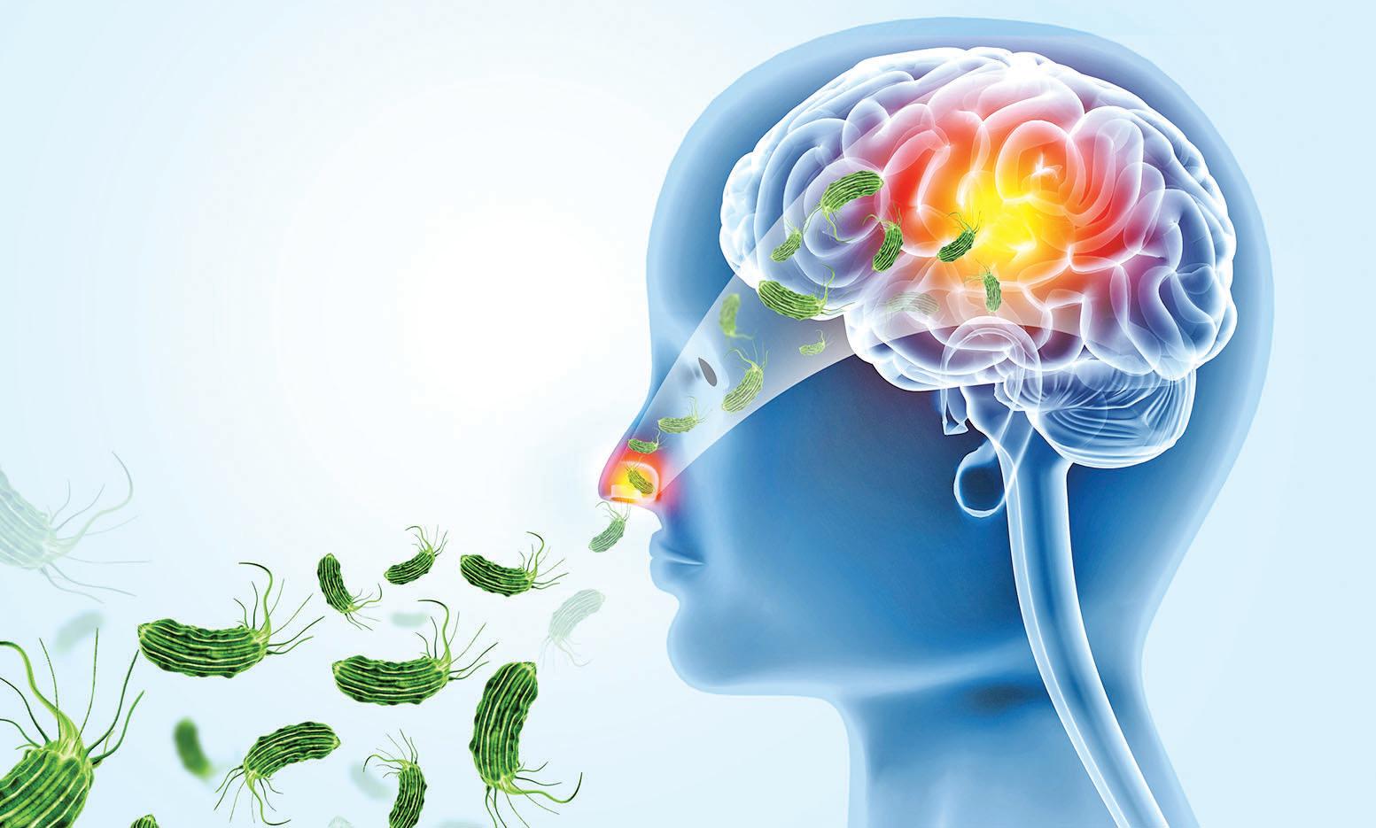 Climate, temperature, urban water stagnation are behind the brain-eating amoeba infections in Kerala, say experts