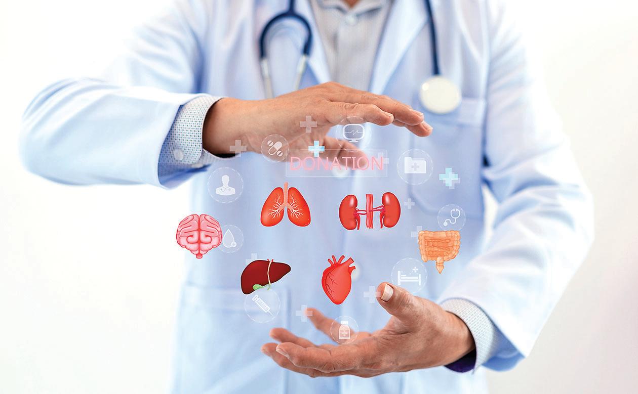 No, repeated organ transplants won't make you live forever