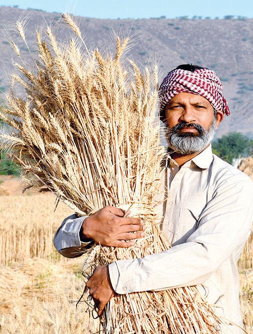 Govt actively exploring other export markets