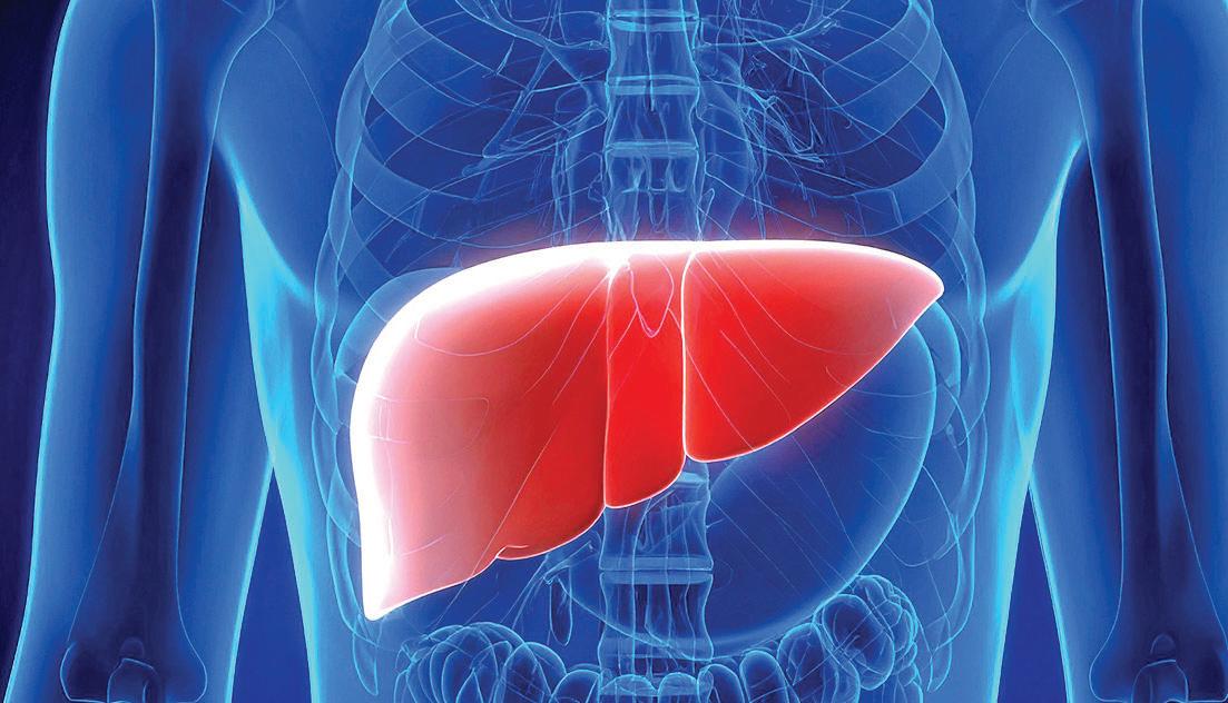 Blood test to predict risk of liver cirrhosis, cancer within 10 years