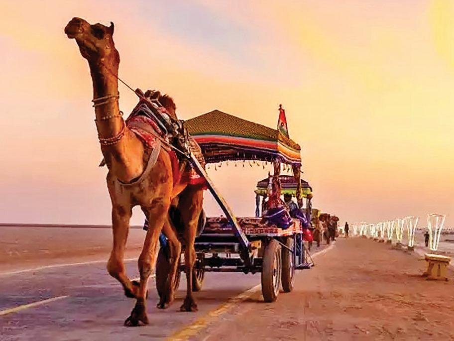 'Supermoon parties' drive tourists to Kutch, Thailand