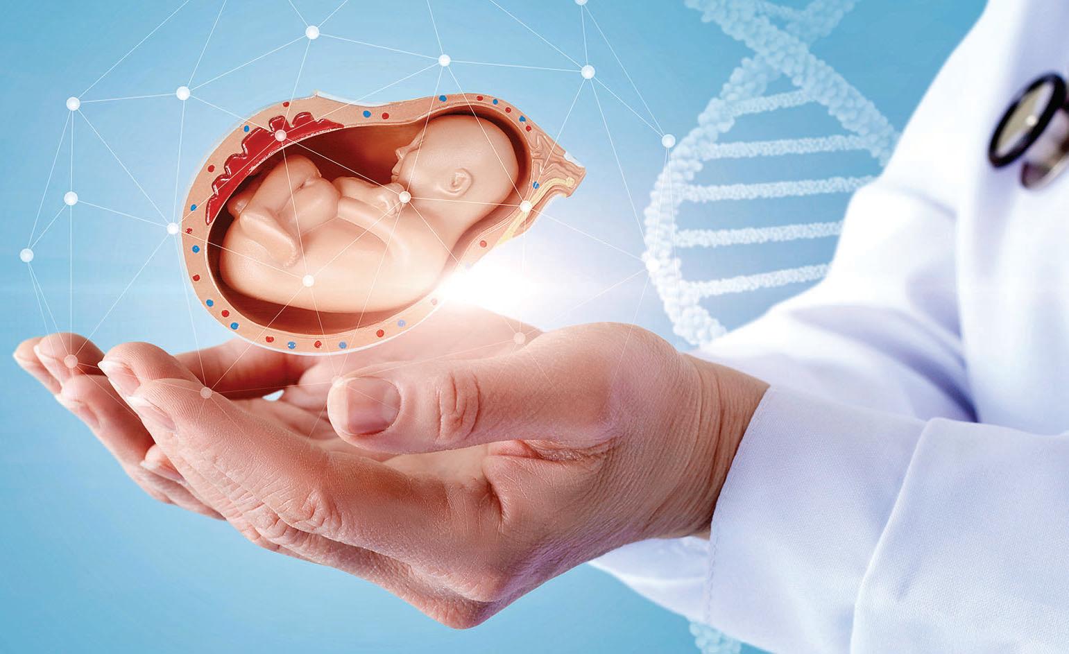 ICMR scientists find gene switch enabling pregnancy