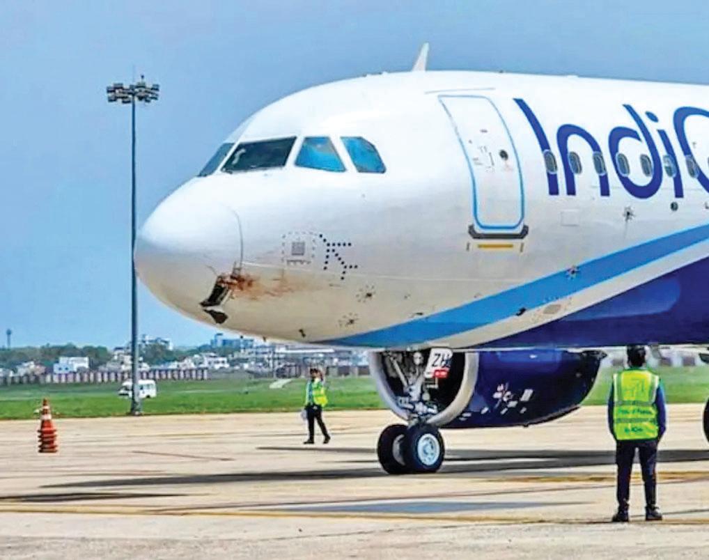 Indigo back on its feet, ops stable, claims CEO