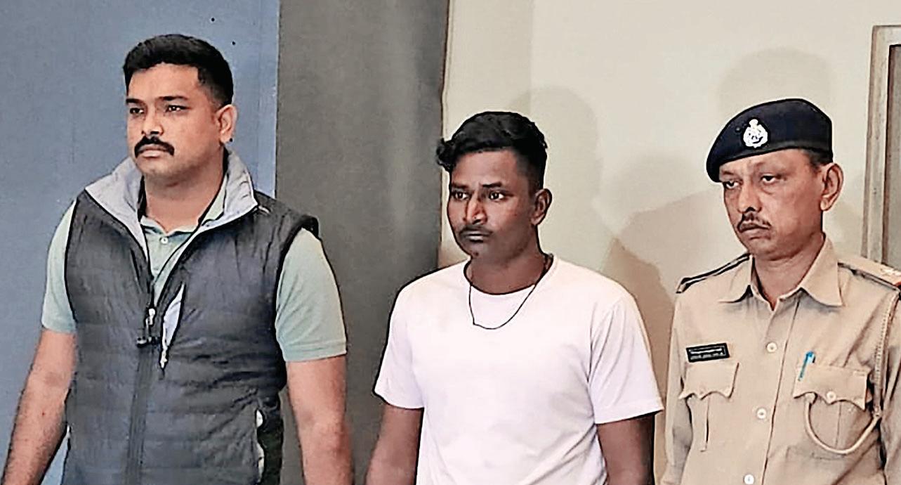 Youth arrested for brutal killing of cat