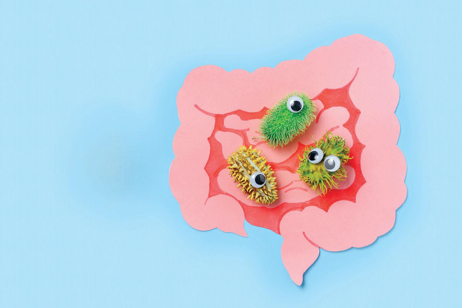 Study describes how psychological stress can alter gut microbiome