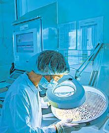 PLI boost: Cancer drugs to cost less